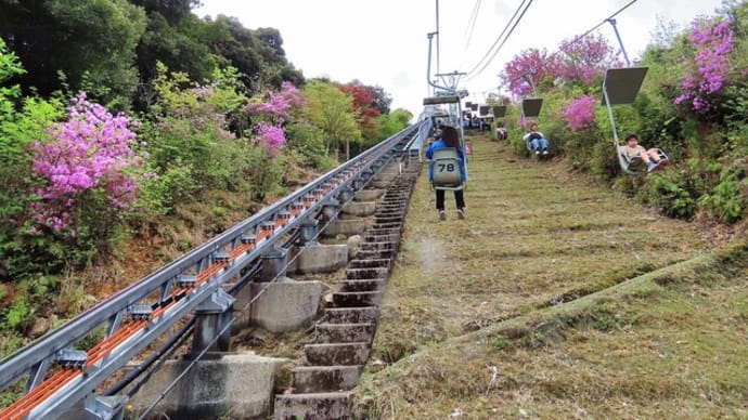 2025 天橋立ビューランド 股のぞき