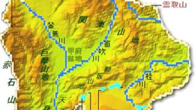 徳島セギも、眠らない