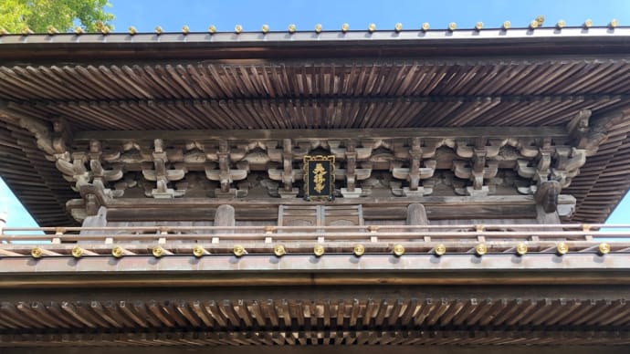 英勝寺 赤い絨毯 彼岸花☺️