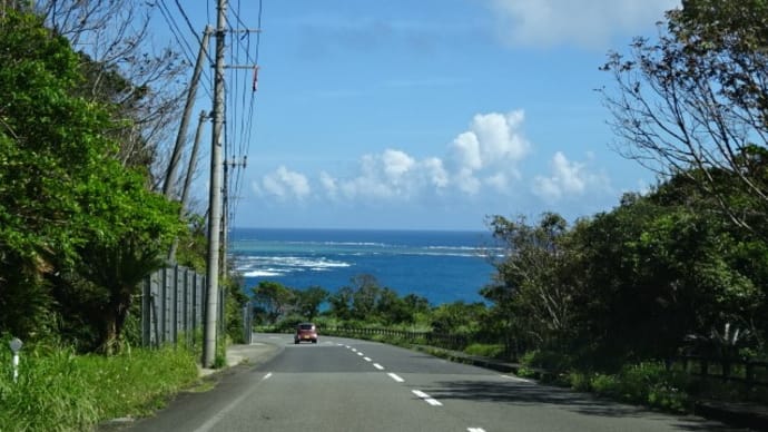 奄美大島の景色