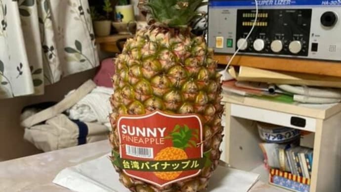 スポンジボブの家は台湾パイナップル