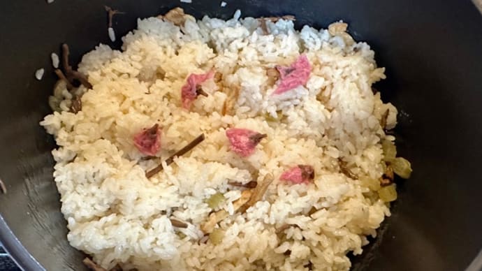 無印良品 桜と山菜のおこわ