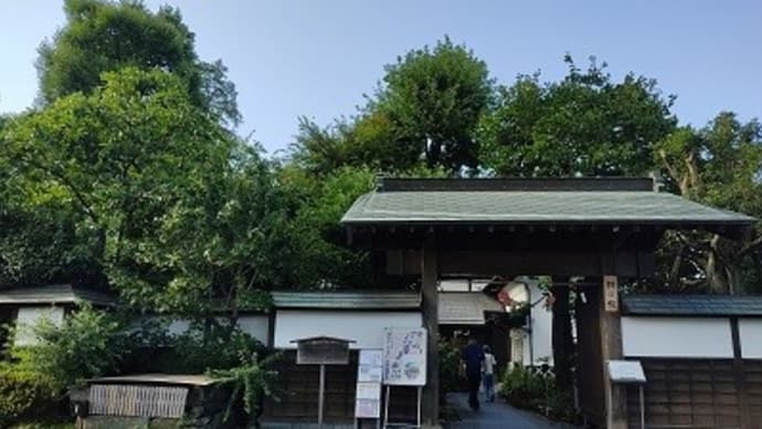 耕心館のカフェが素敵だった!【東京都瑞穂町】