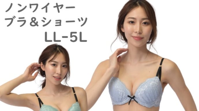 大きいサイズ ブラセット ノンワイヤー ブラジャー&ショーツセット 花柄レース LL 3L 4L 5L