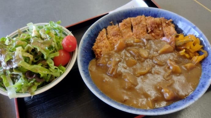 カツカレーのライス無し
