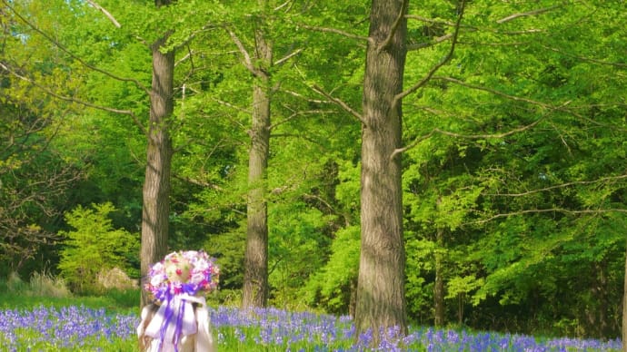 イギリス初夏の妖精ブルーベル