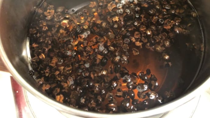連休明け 今朝は麦茶作りました(*゚∀゚*)