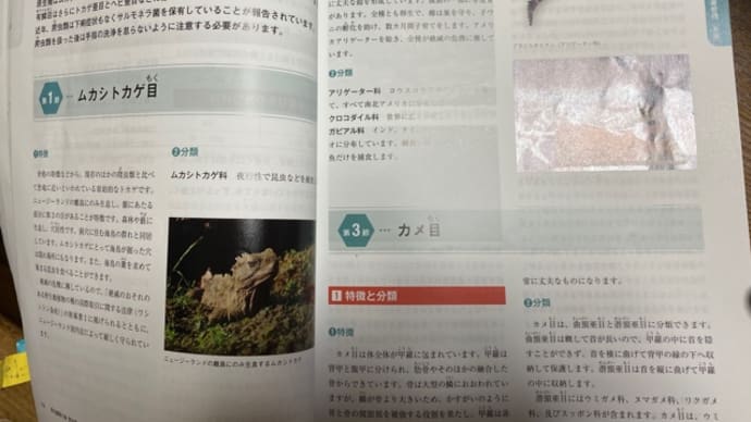 蛇