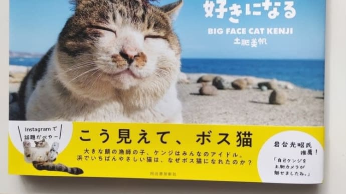 猫の写真集