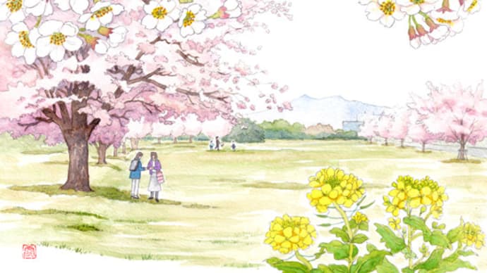◆つくば市・学園の杜公園の桜◆