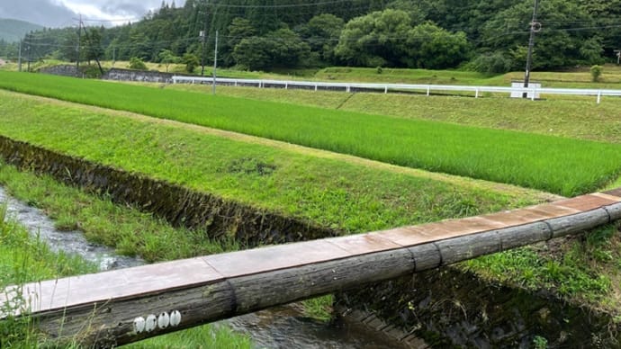 □7月発送□特別栽培米□