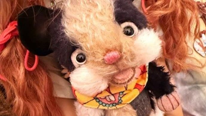 スキニーギニアピッグ(ぷく)💝ちゃん…オミオクリカンリョウ~☆