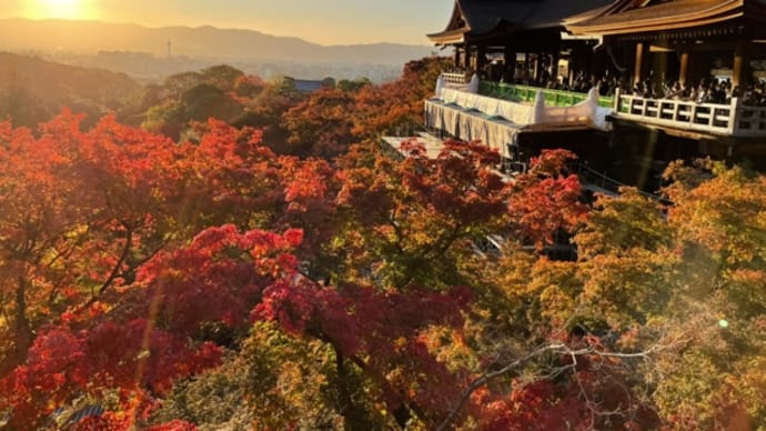 三十路京都旅行!~トロッコ列車、保津川下り、東福寺、清水寺