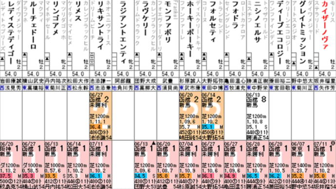 【カイザーノヴァ】未知の魅力で勝負! 7/18函館2歳S・出走確定