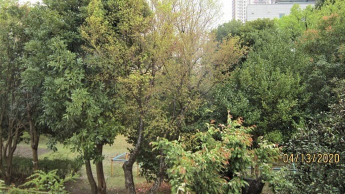 荒天だ・雨・風・寒さ