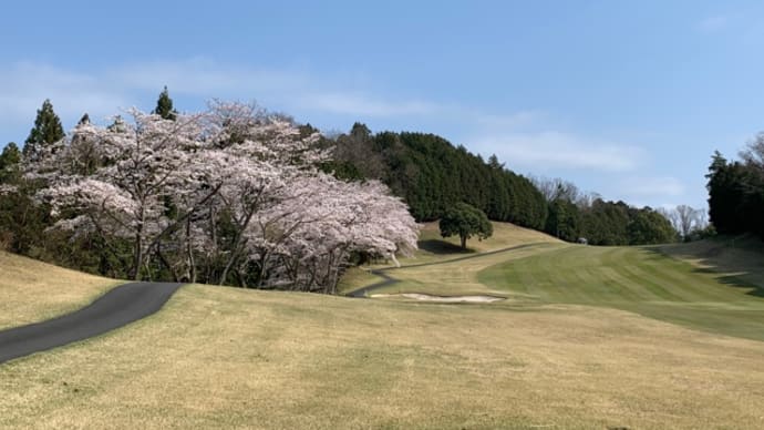 土曜日は木津川カントリー倶楽部に行ってきました