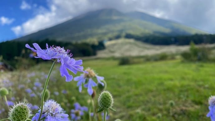 大山環状線 一部冬期閉鎖が解除!!
