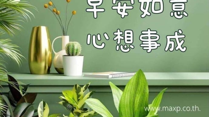 午後から中国語レッスンを受けます