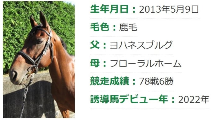 【訃報】🐴ヨシオさん、天国へ…😭😭😭