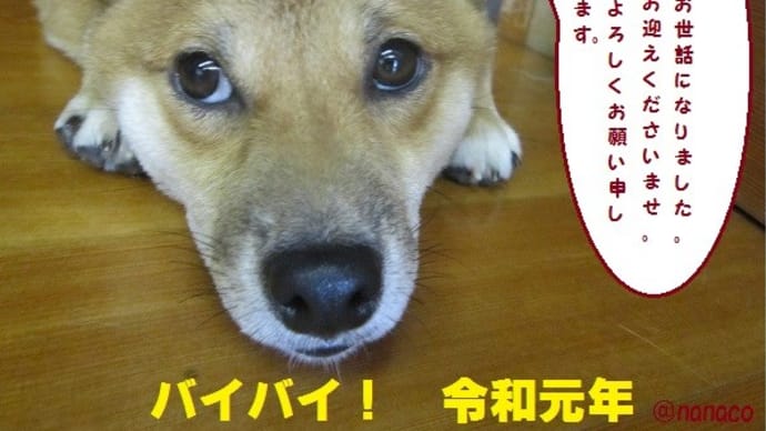令和元年最後の日の巻