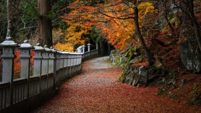 焼山寺・藤井寺・童学寺