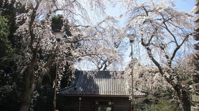 仁王門の上には・・・
