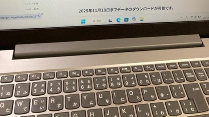 犬と猫との暮らしです~多分はてなブログ移行になると思います…
