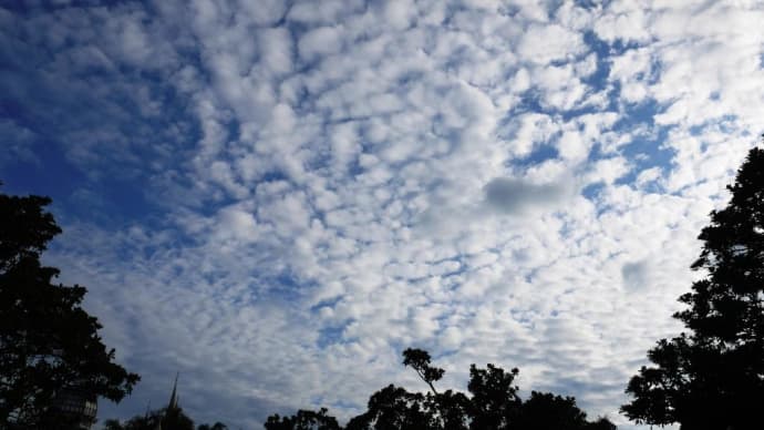 秋の空