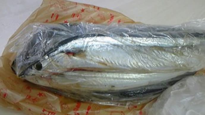 秋刀魚