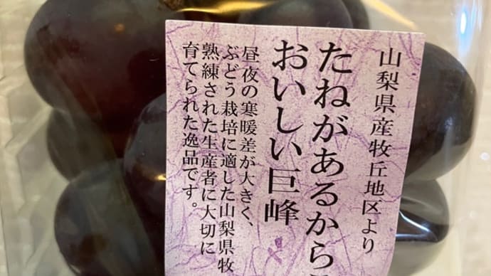 221014 ブドウ