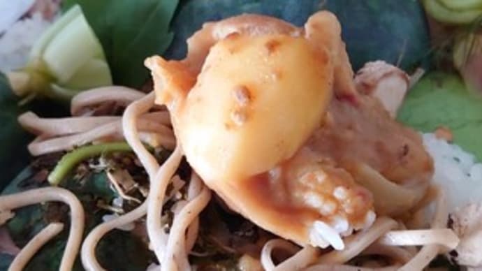 今度はカレー、更に蕎麦 😩