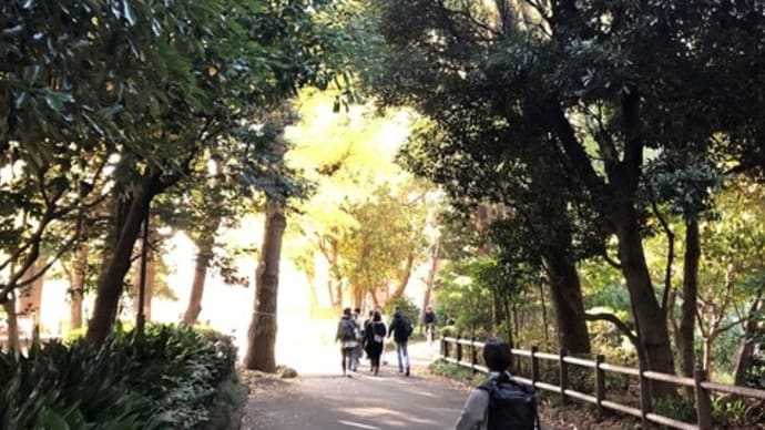 東京散歩３　北の丸公園・靖国神社191204