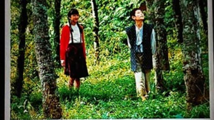 いい映画だった