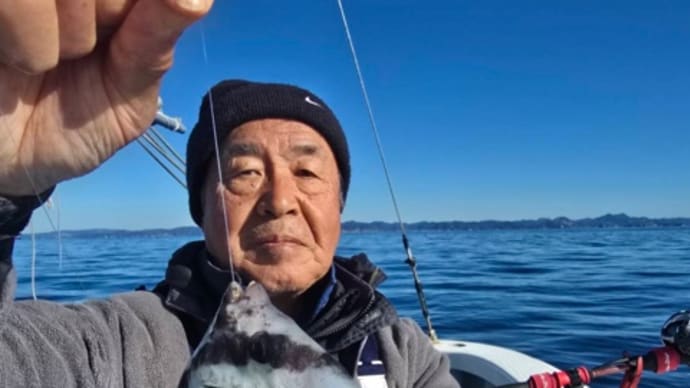 シャクリ五目狙い