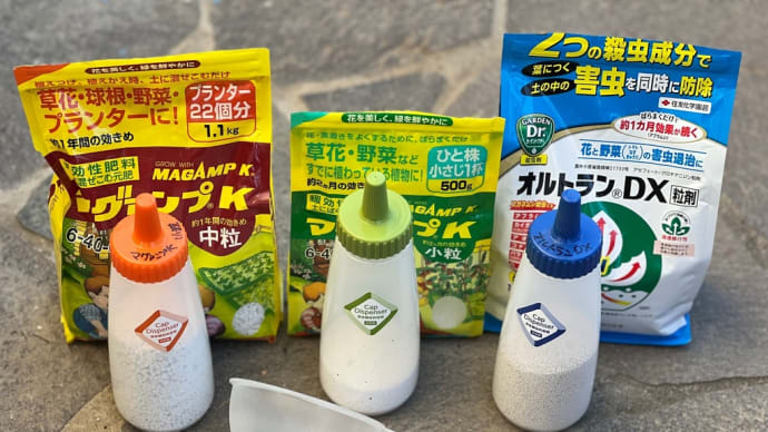 寄せ植えの仕立て直し*ダイソー便利グッズ*