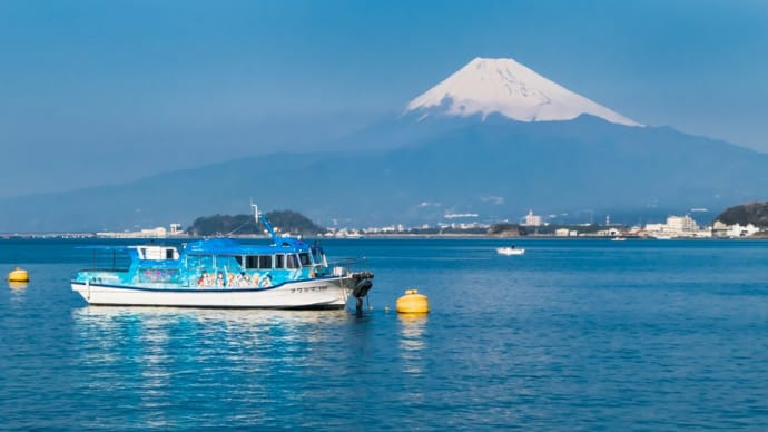 【あわしまマリンパーク】アワシマ16号に乗って淡島上陸【動画】