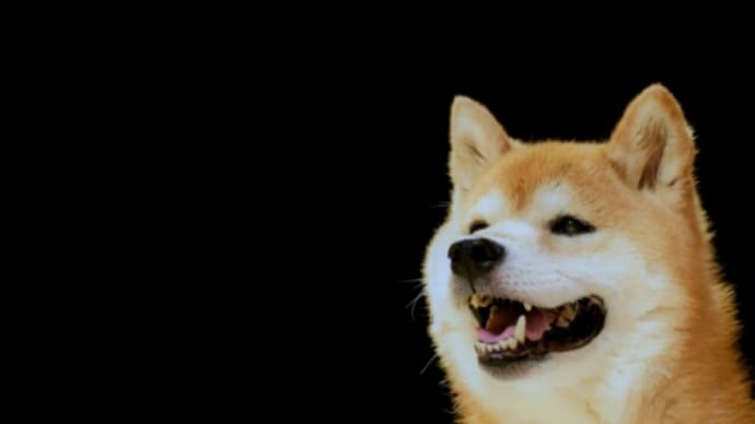 8週齢規制の日本犬除外について