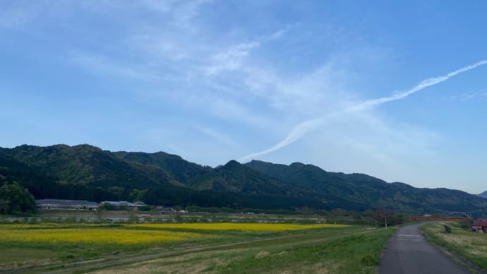 このブログも。。
