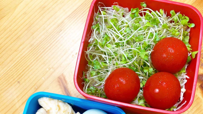 サラダ弁当始めたよ!