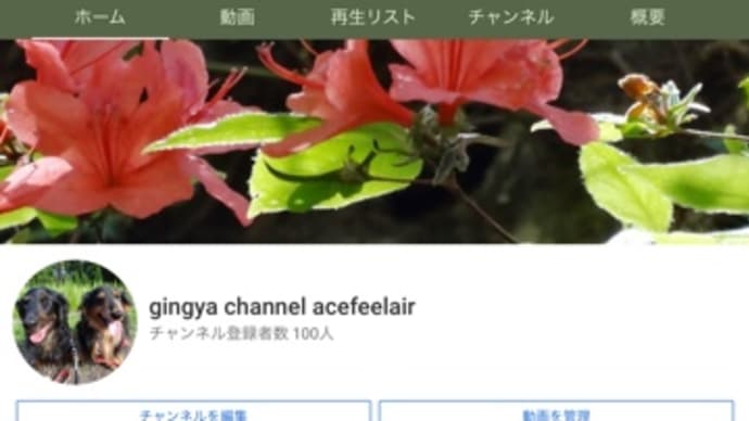 お散歩上達中その2