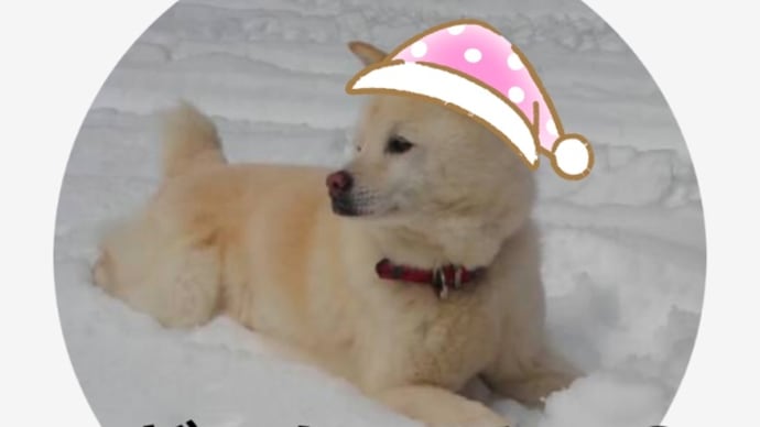 早く出ておいで!