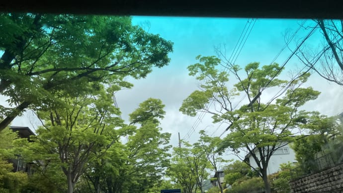 春の宝塚フェス2025