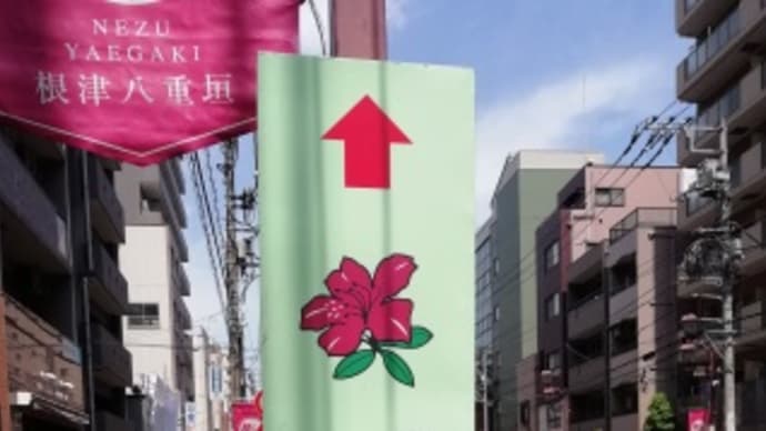 根津神社 文京つつじまつり(2018)