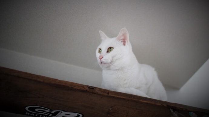 キャットウォークの板