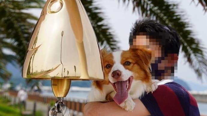 ☆釣りびとと、犬☆