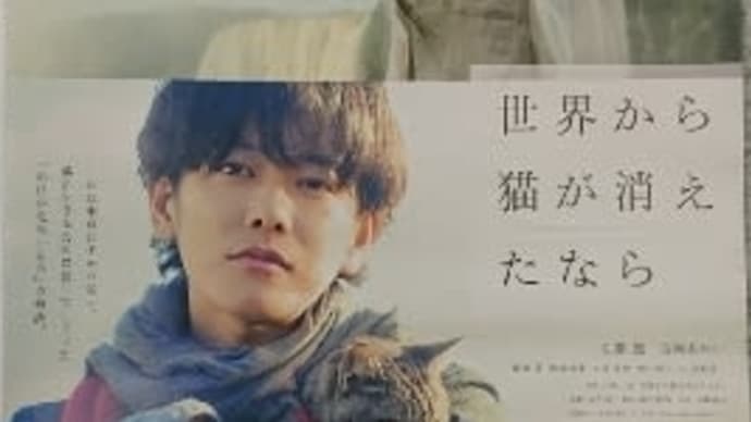 【映画】「世界から猫が消えたなら」取材の話