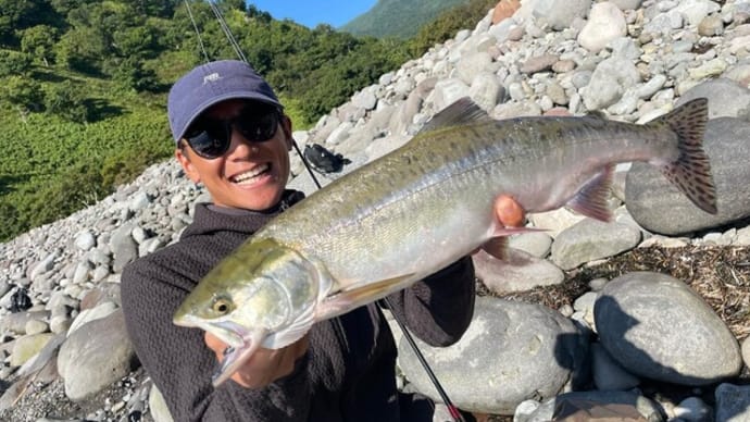 今日はモイレウシで鮭が釣れました。