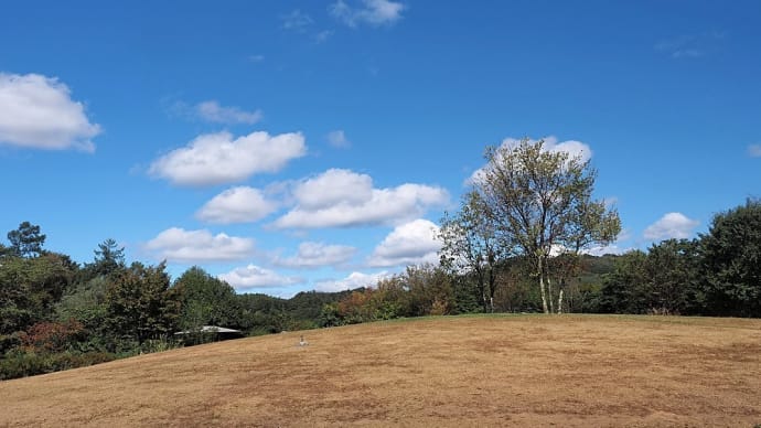 ★丘の上の青空と白い雲と真っ赤な曼珠沙華と真っ赤なアキグミとその他諸々 2023