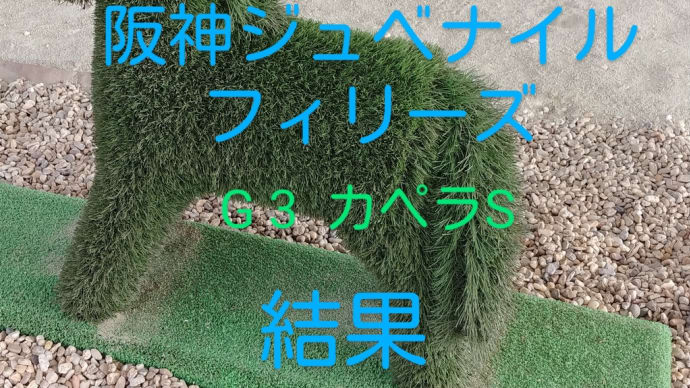 競馬G1阪神ジュベナイルフィリーズ G3カペラS レースと馬券の結果