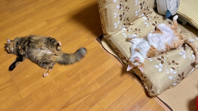 8月14日 Wおっぴろげ〜〜